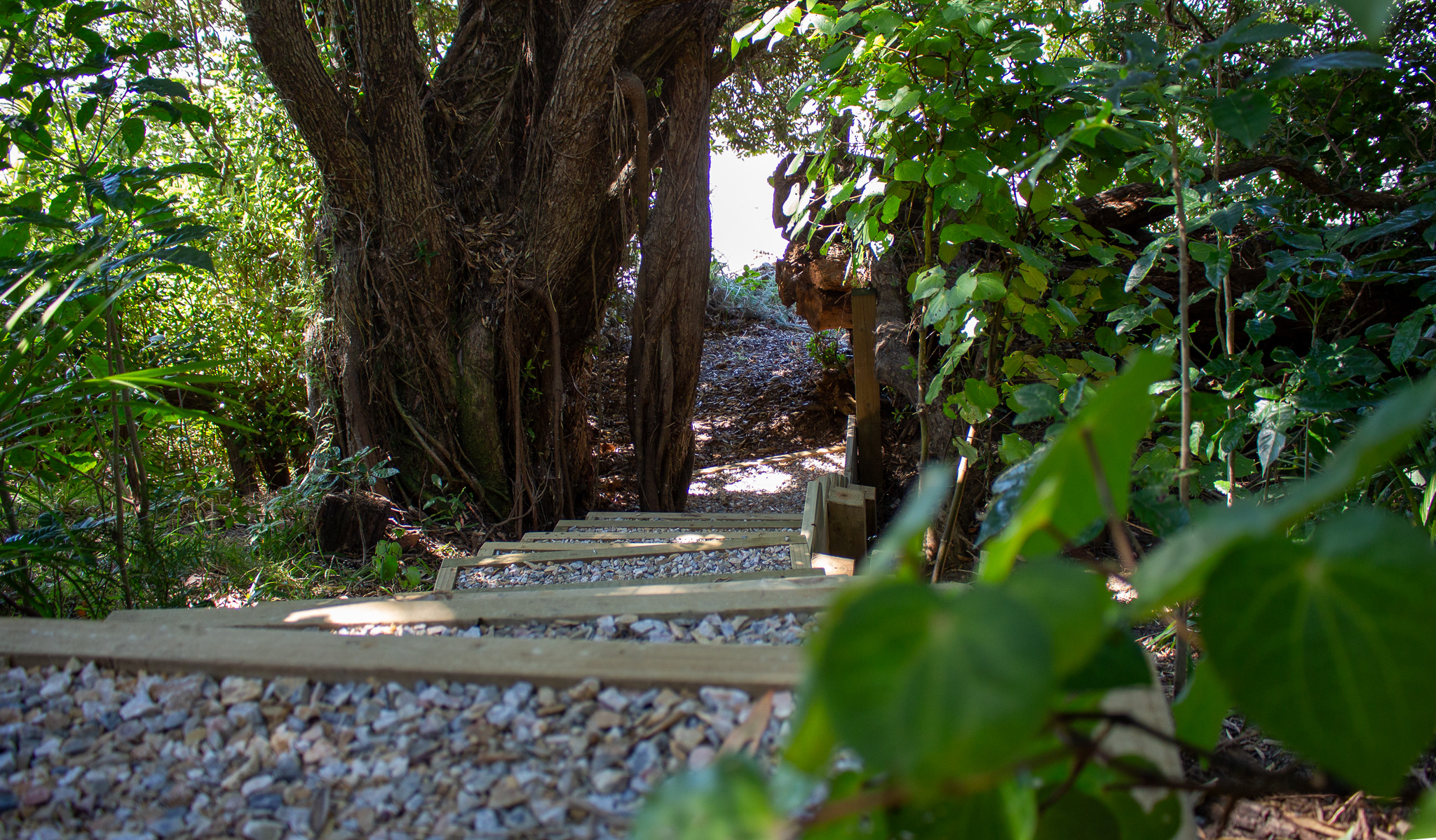 private access to the beach custom built